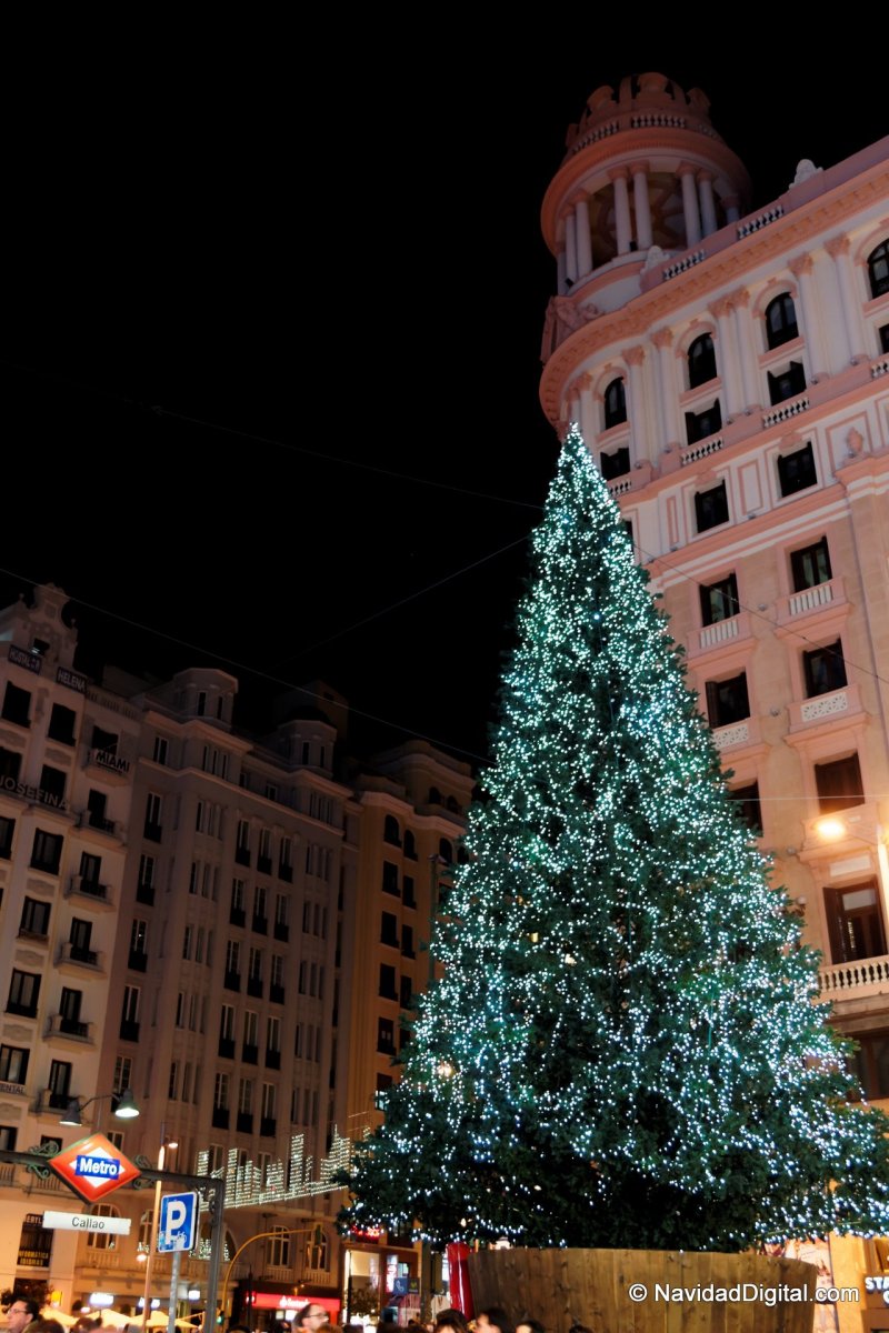 Descarga Vector De Vector Año Nuevo 2013, image size:800x1200