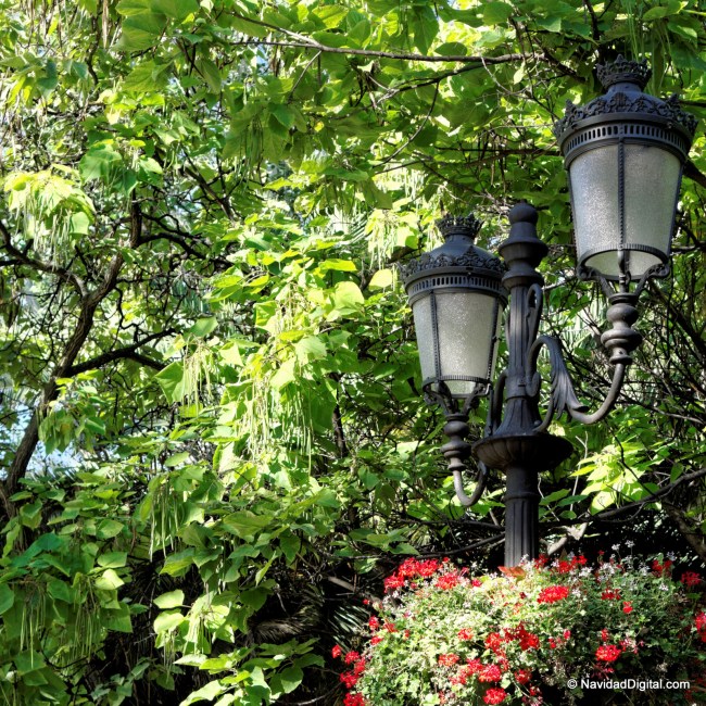 paseo-recoletos-verano-flores-madrid