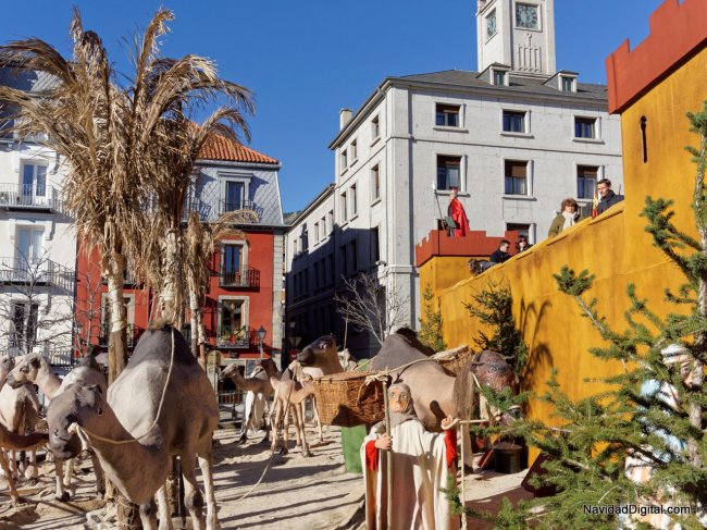 camellos-belen-escorial