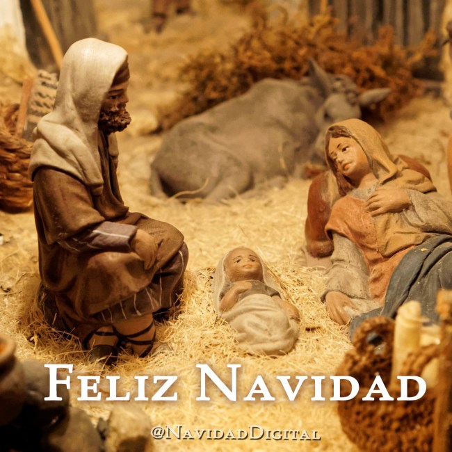 christmas-navidad2014-misterio-2