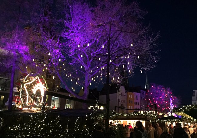 colonia-arboles-luminosos