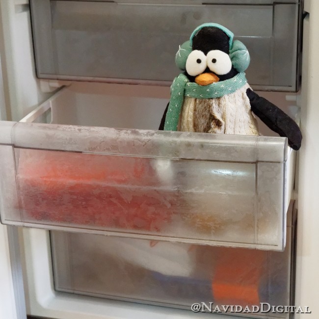 feliz24-pingu-congelador