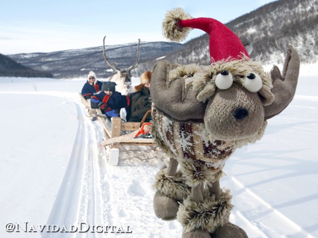 reno-campamento-nieve-trineo