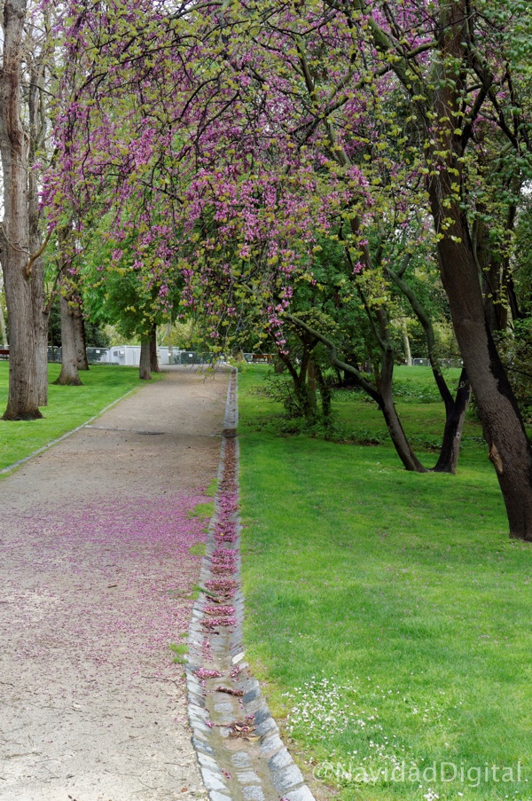 paseo-florido-retiro-madrid-600p
