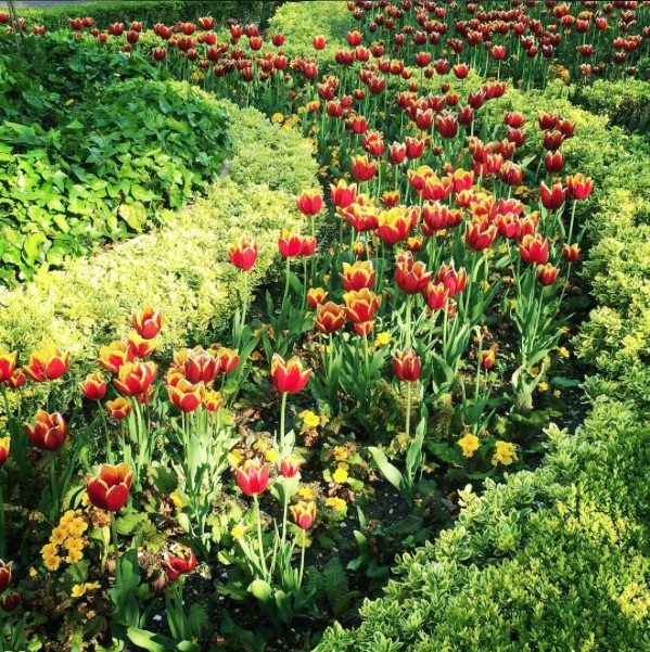 regent-st-flores-cristinasp