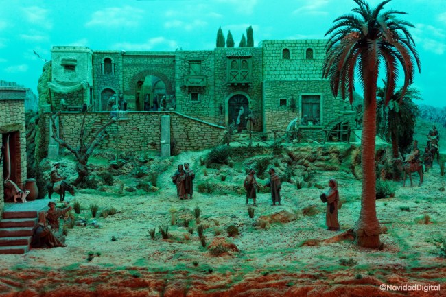 maxidiorama-palmeras.jpg