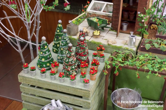 angie-scarr-arbolitos