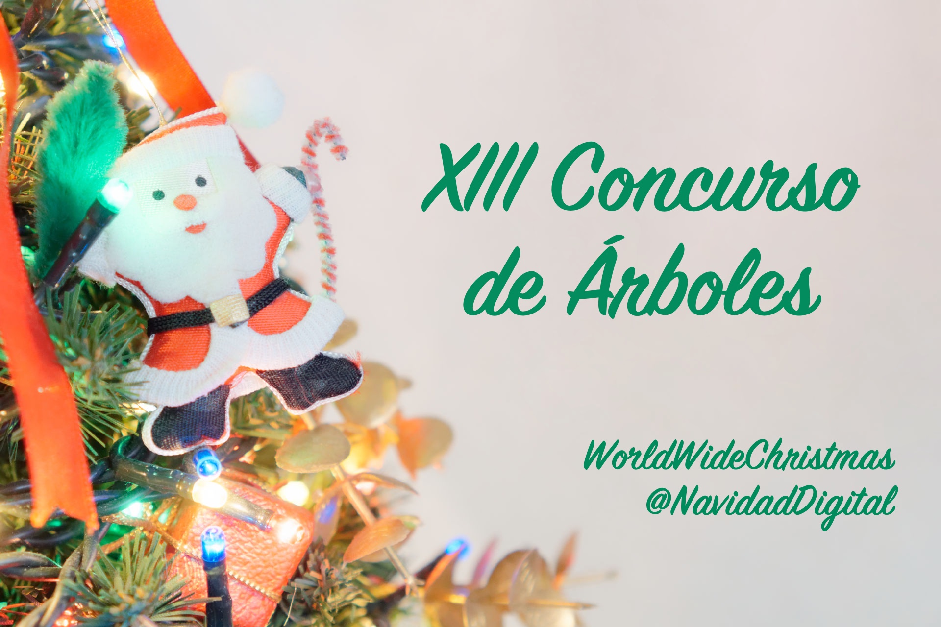xiii-concurso-arboles-2017.jpg
