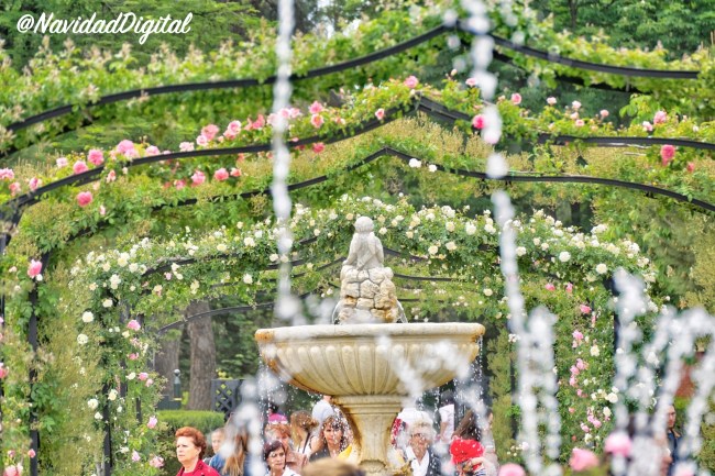 rosaleda-retiro-2018-madrid