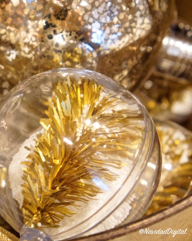 bola-aloja-DSC07274_DxO_1920